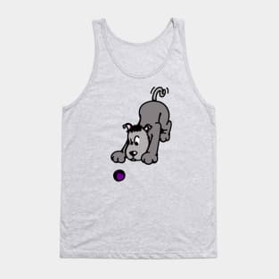 Cute little Dog plays Tank Top